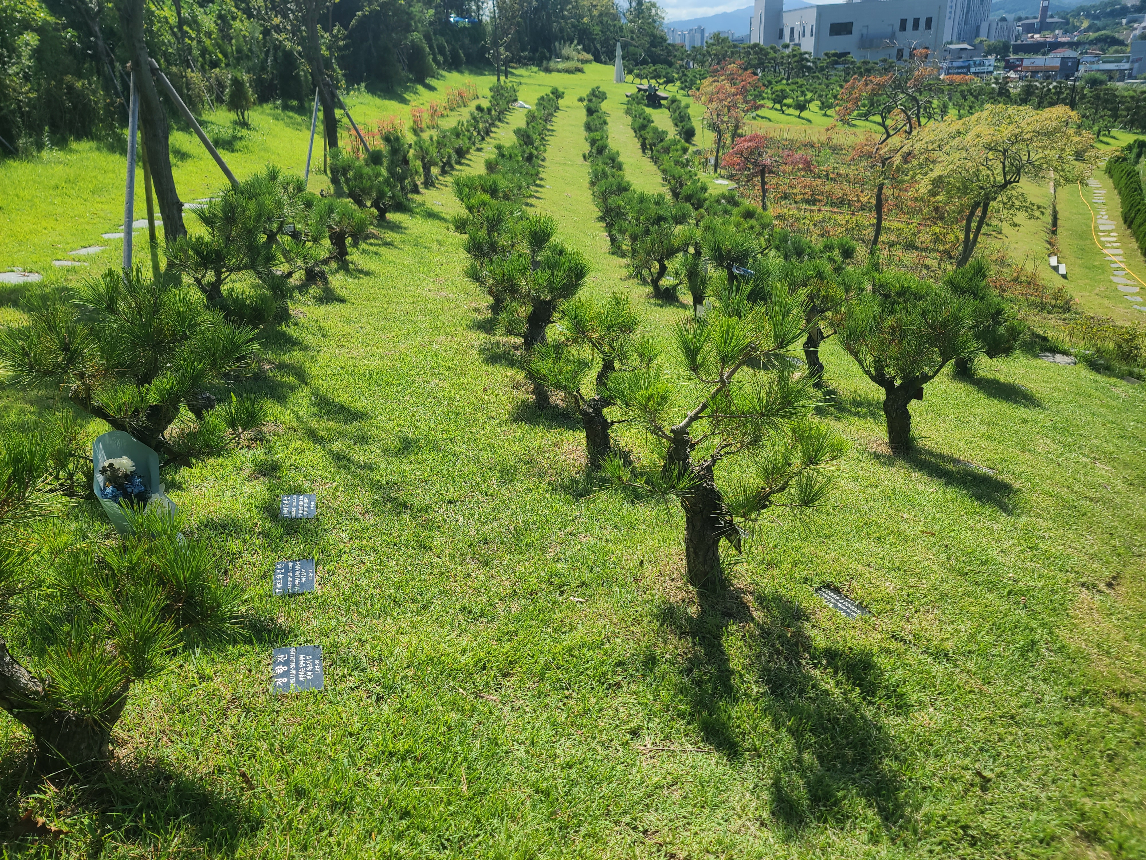 에덴의정원 수목장