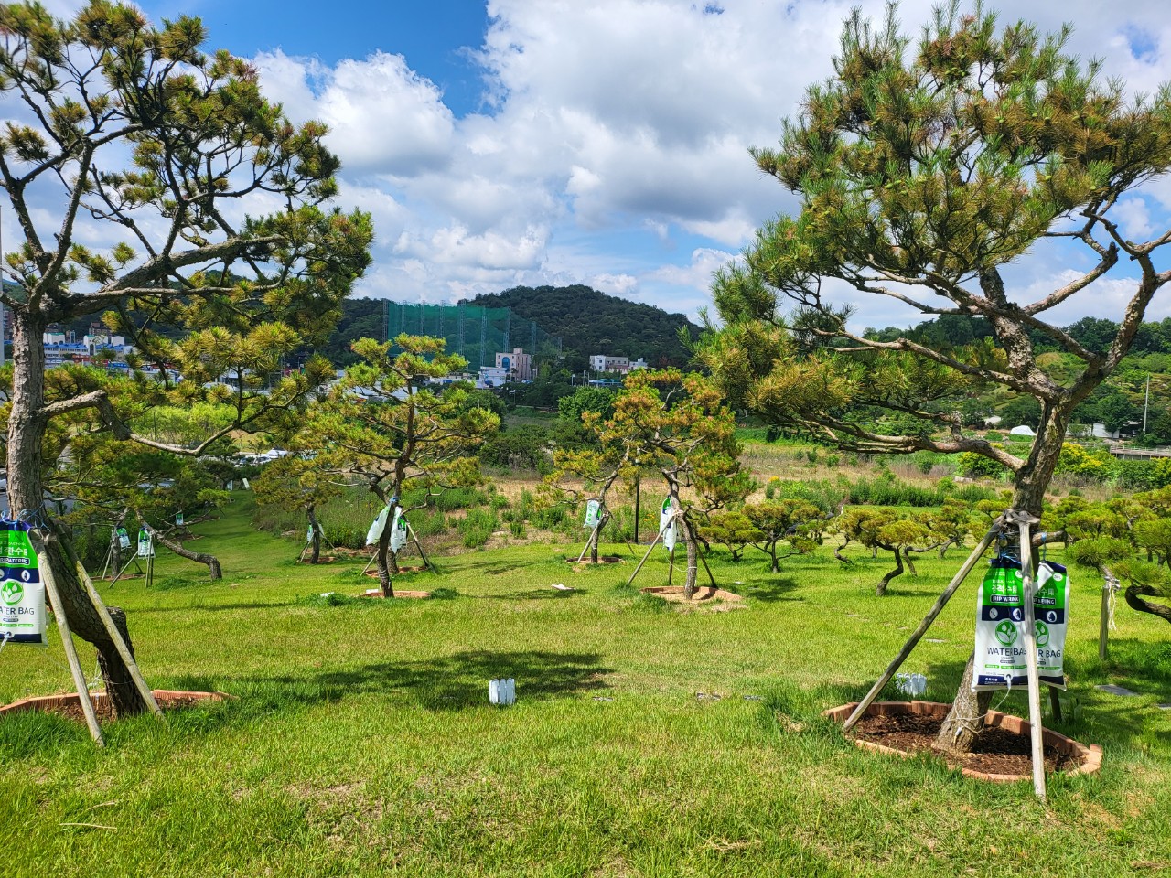 에덴의정원 수목장