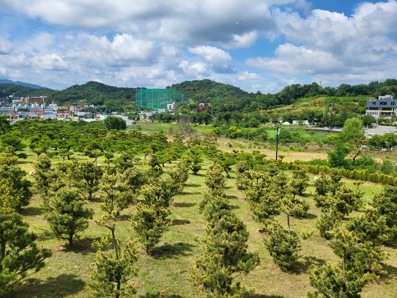에덴의정원 수목장