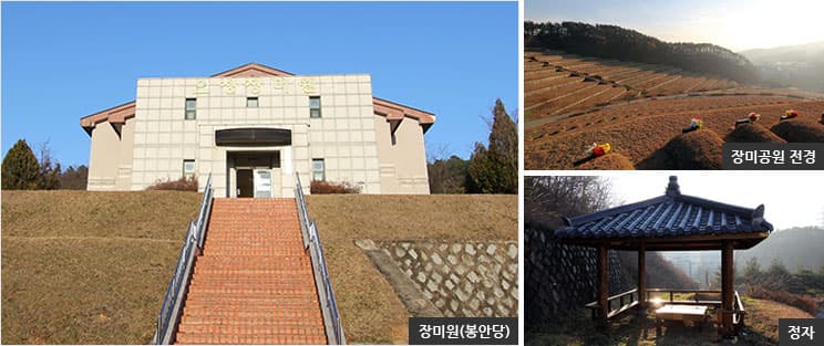 장미원